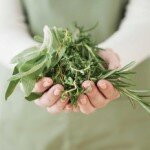 Домашние рецепты лосьонов из лечебных трав