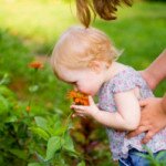 Как сделать сад безопасным для ребенка