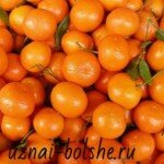 kozhura-mandarinov-polza